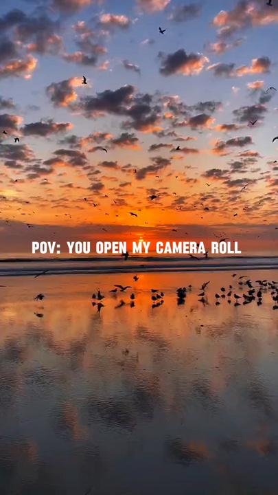 pov:my camera roll 