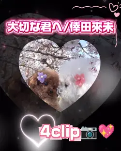 大切な君へ/倖田來未