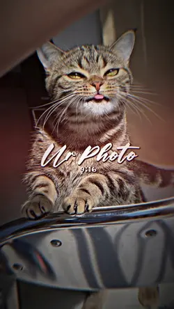 3รูป Pota Pota