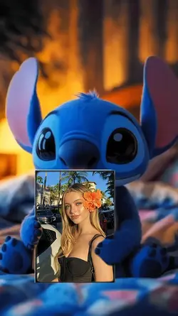 stich