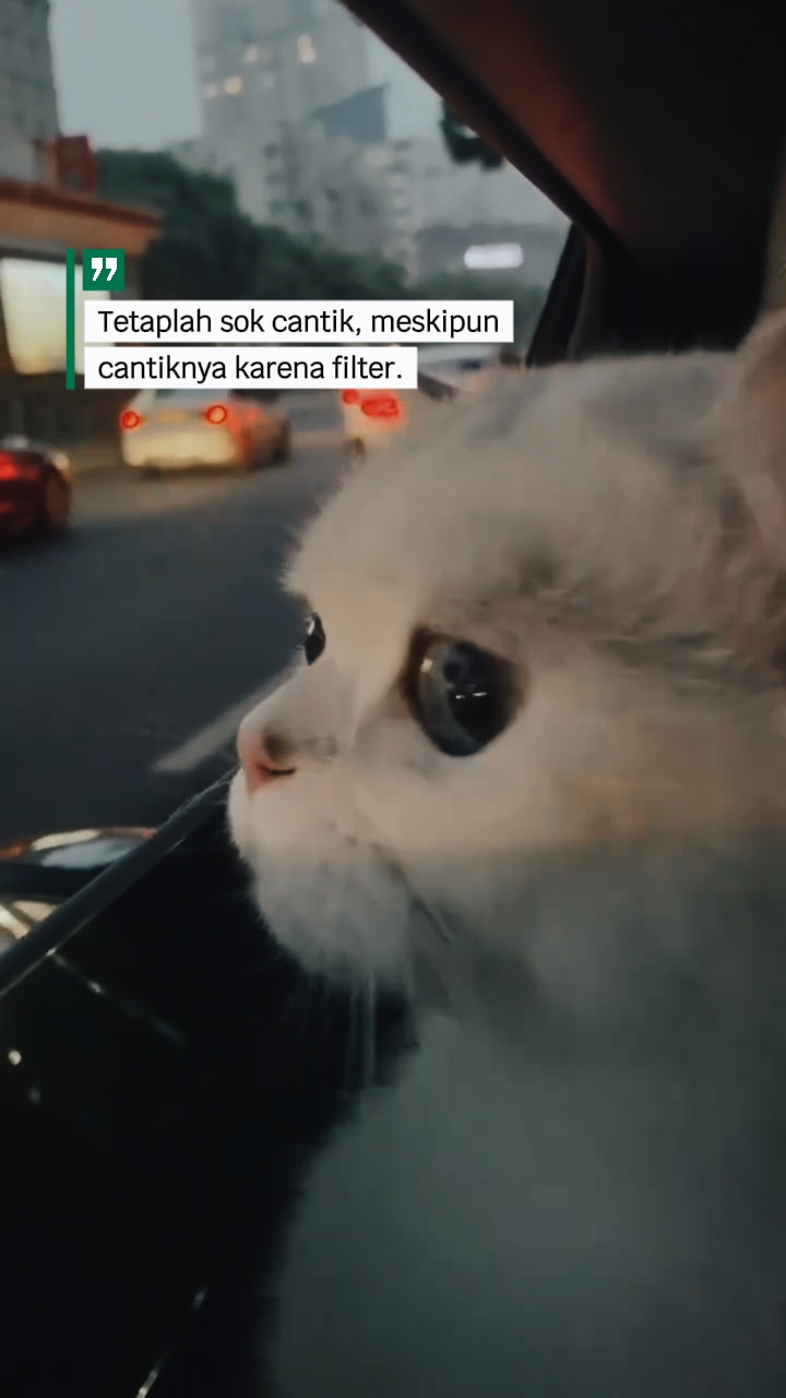 sok cantik