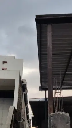 moonlight versi zoom