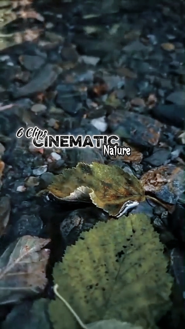 Cinematic 6 Clips 