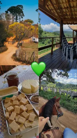 vida na roça 