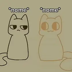 trend dos gatinhos
