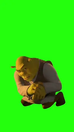 Shrek rizz meme