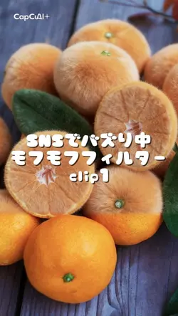 モフモフフィルター