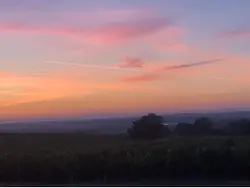 W jakim sporcie jest