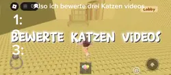 Katzen videos