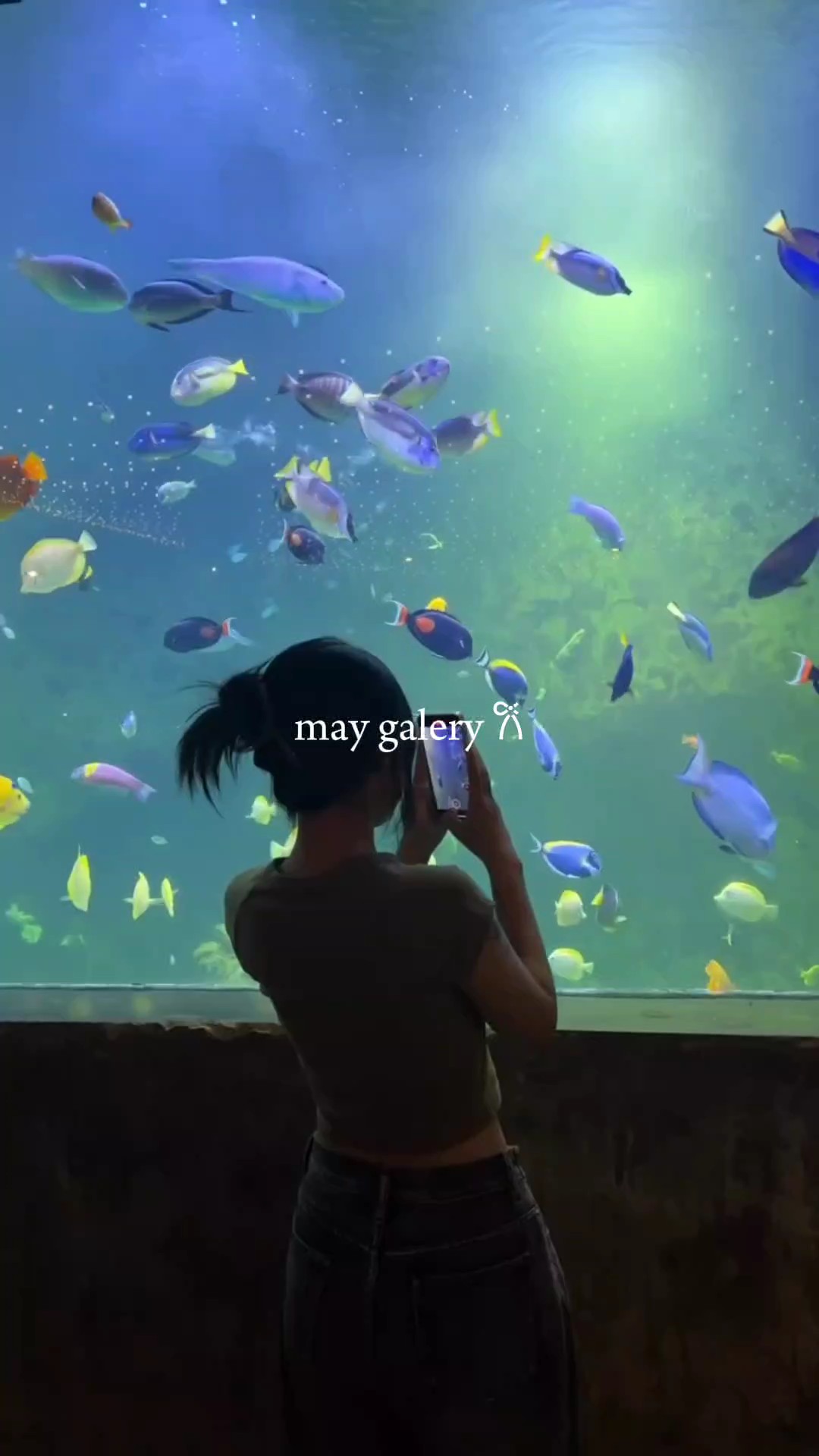5vid+52foto may 