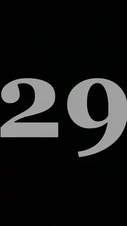 umur 29