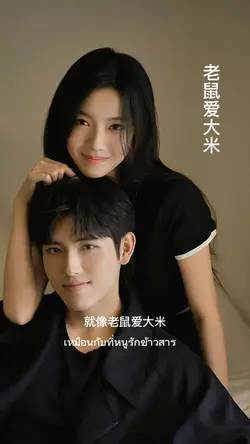老鼠爱大米
