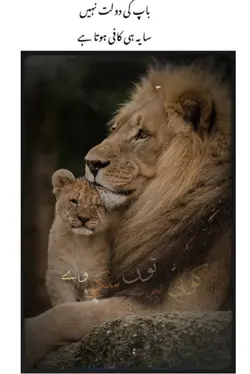 FATHER'S LOVE 