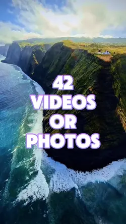 42 videos or photos