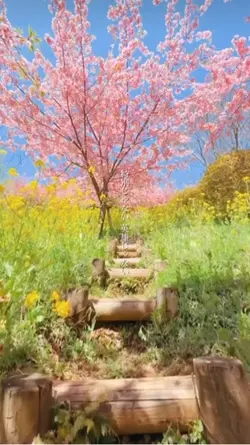 30秒位の動画1枚用😉