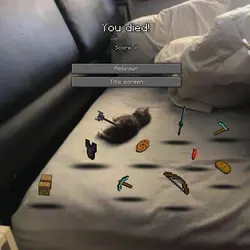 Creeper explodes 1:1