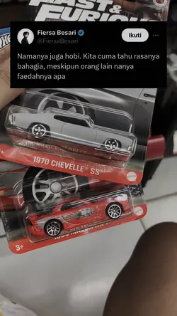 Hobi Hotwheels