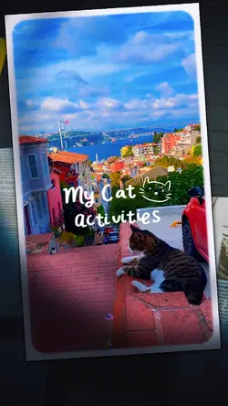 Cat lover
