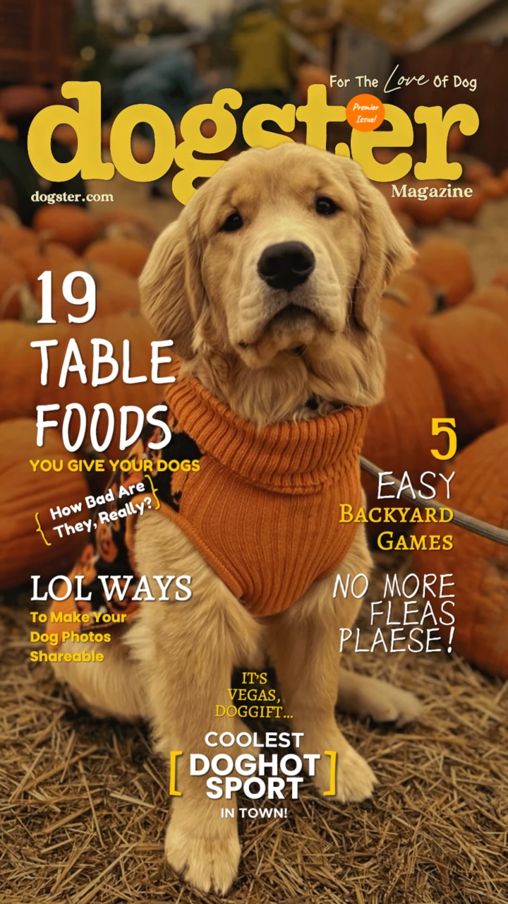 Dog magazine