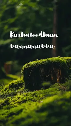 Kuzhaloodhum kannan