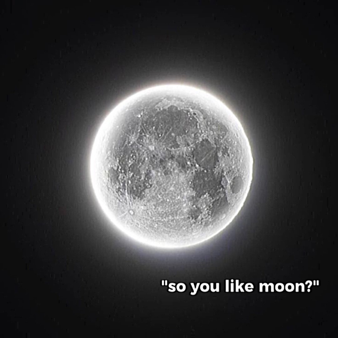 "so u like moon?"