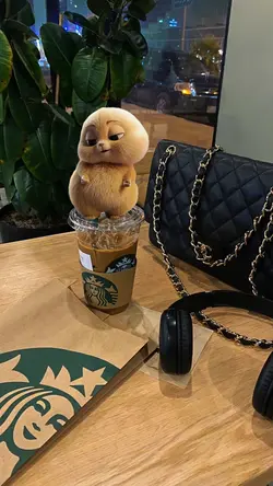 POKKO DANCE VIRAL