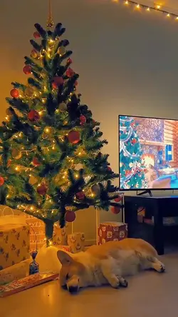 Lirik Lagu christmas