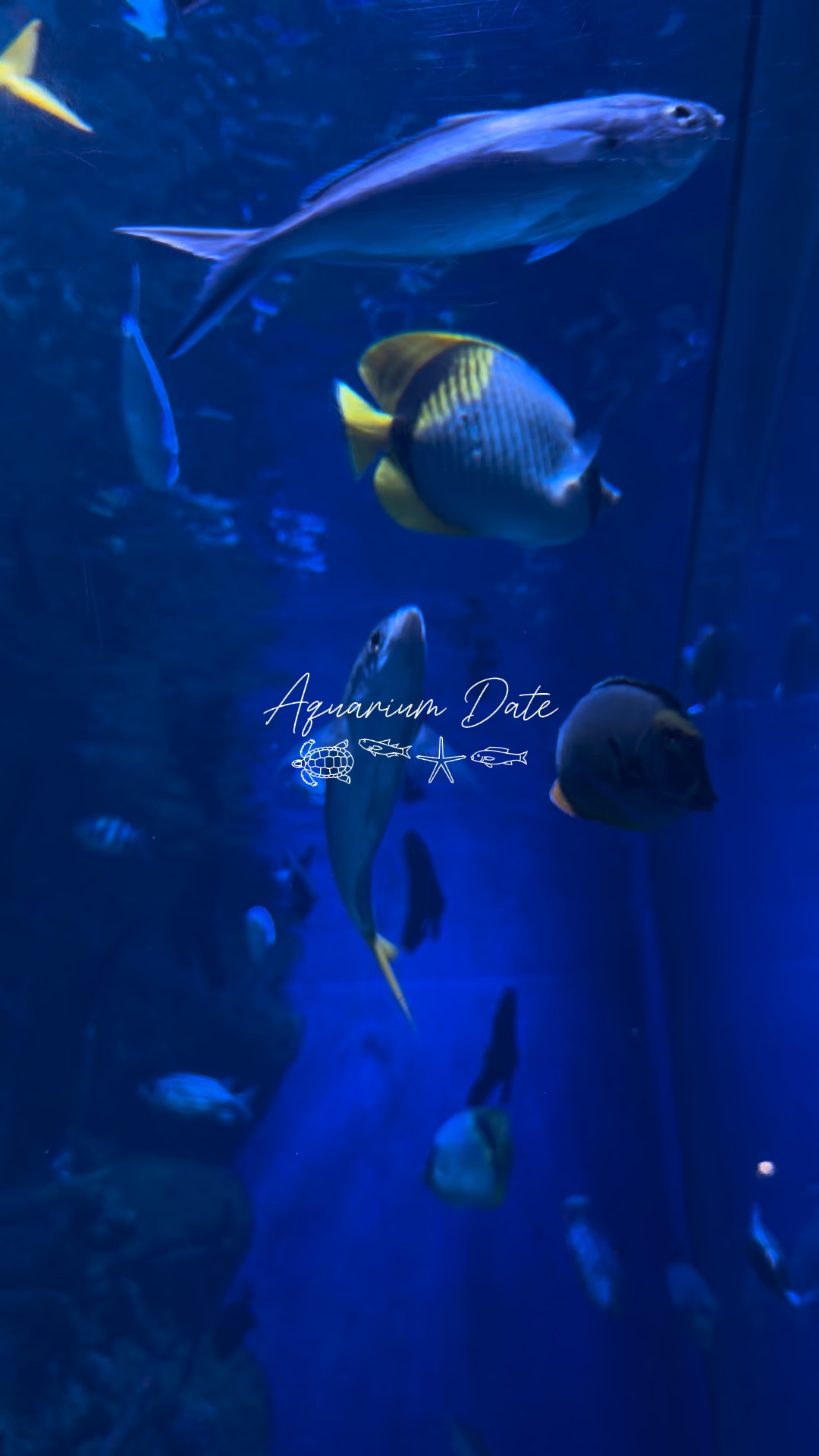 Aquarium Date