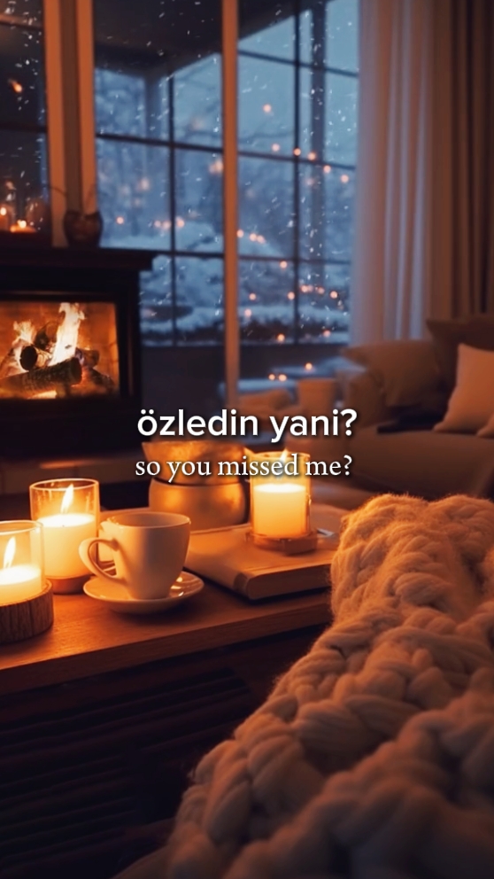 yani beni özledin mi 