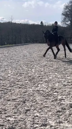 THIS TROT OMLL 😨😻