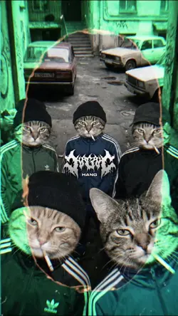 กำลังฮิต 2รูป