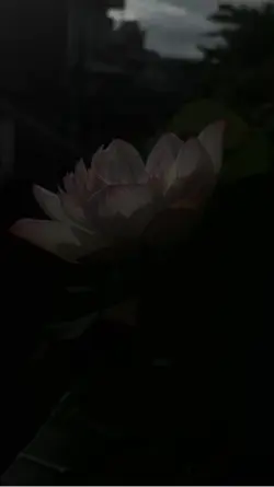 Hoà mình vào bình ye