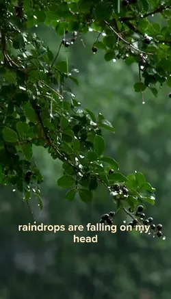 Raindrops