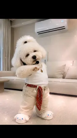 아초