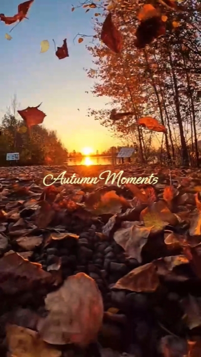 Autumn Moments