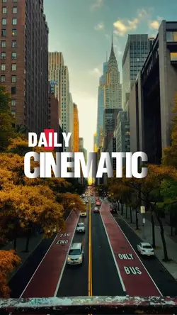 daily cinematic 