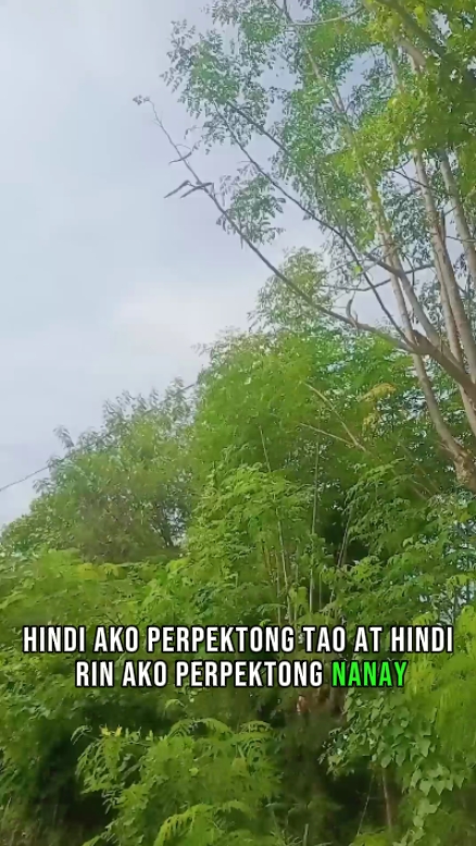 Hindi Ako Perpekto