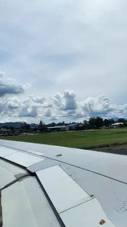 Today's Dump