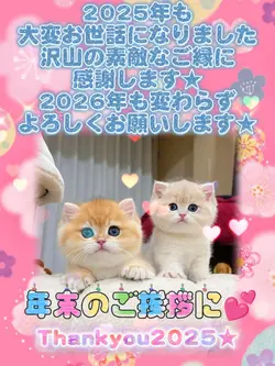 年末挨拶/ありがとう2025