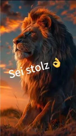 Sei stolz 💪