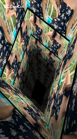 elegance that shines