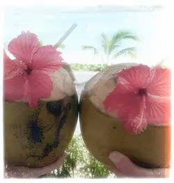 Summer edit !