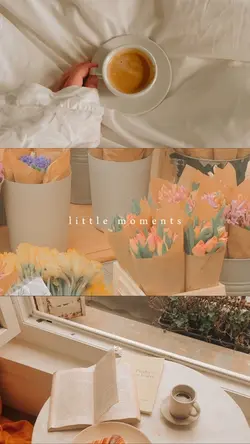 moments split screen