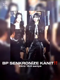 BP SENKRONİZE KANIT