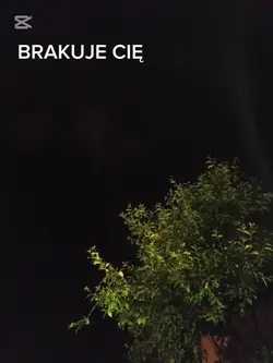 BRAKUJE CIĘ