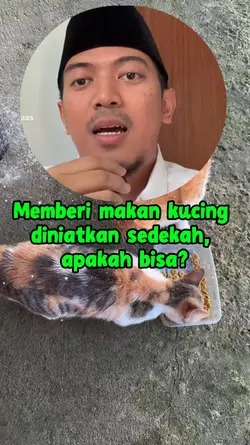 memberi makan kucing