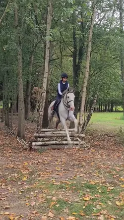 woods!