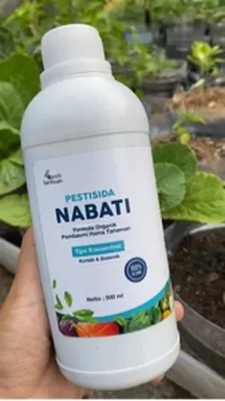Pestisida nabati