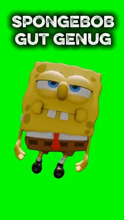 SPONGE GUT GENUG 