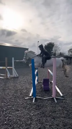 Horse Slomo